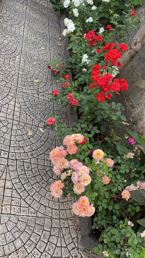 הוילה קטאניה Casa Delle Rose מראה חיצוני תמונה